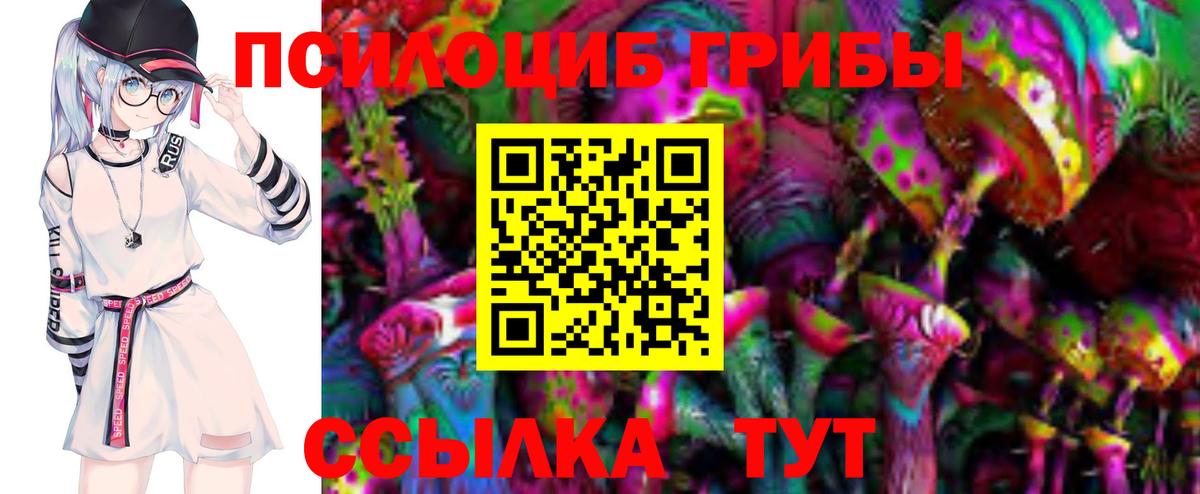Галлюциногенные грибы Psilocybine cubensis  Галлюциногенные грибы Cubensis  где купить наркоту  Вход с VPN  Кондопога 